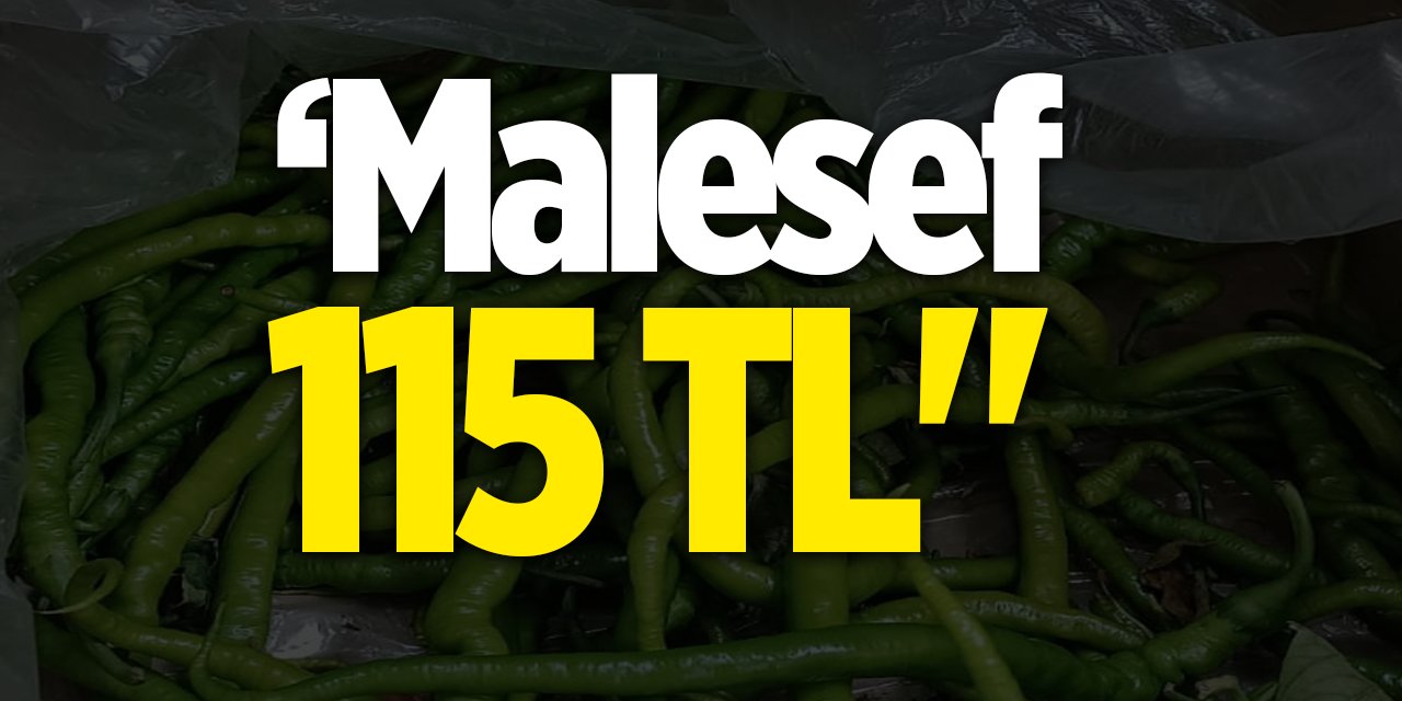 "Malesef 115 TL"