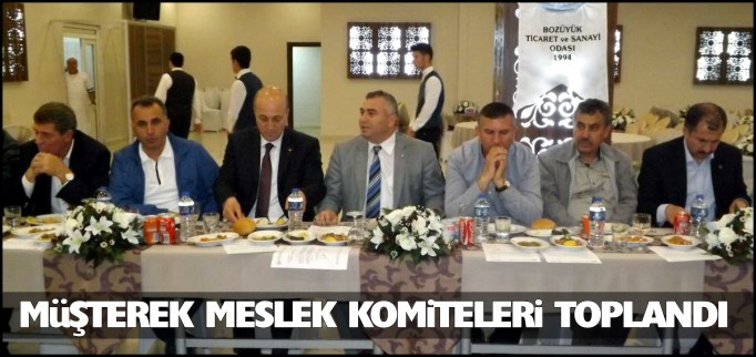 MÜŞTEREK MESLEK KOMİTELERİ TOPLANDI