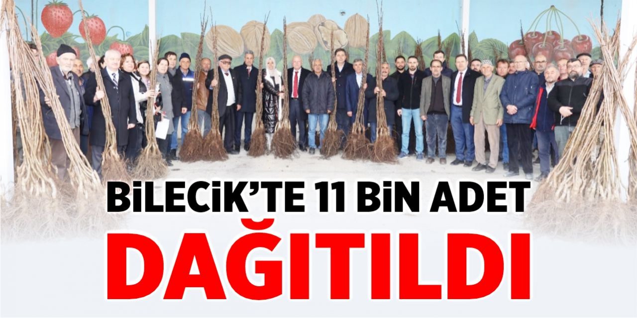 Bilecik'te 11 bin adet dağıtıldı