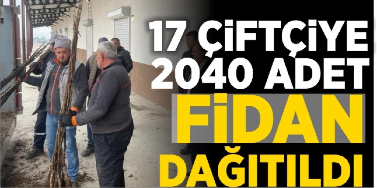 17 Çiftçiye 2040 adet ceviz fidanı dağıtıldı