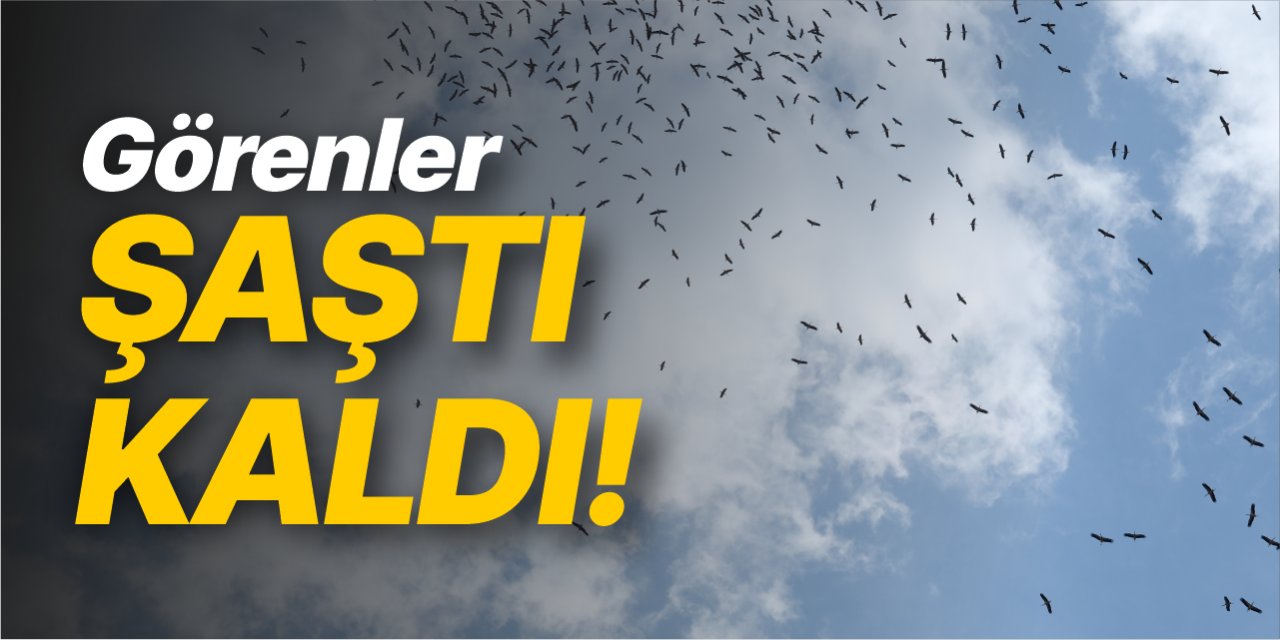 Görenler Şaştı Kaldı