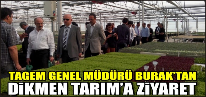 TAGEM GENEL MÜDÜRÜ BURAK’TAN DİKMEN TARIM’A ZİYARET