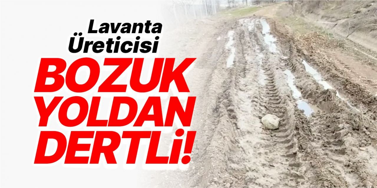 Lavanta üreticisi bozuk yoldan dertli!