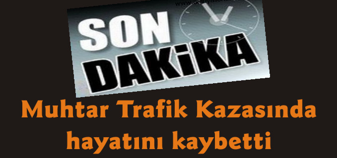 ADLİYE KÖYÜ MUHTARI HAYATINI KAYBETTİ