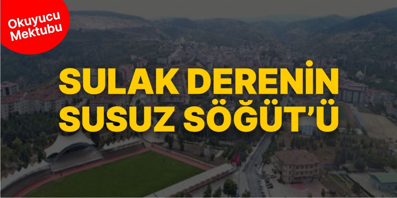 Sulak derenin, susuz Söğüt'ü