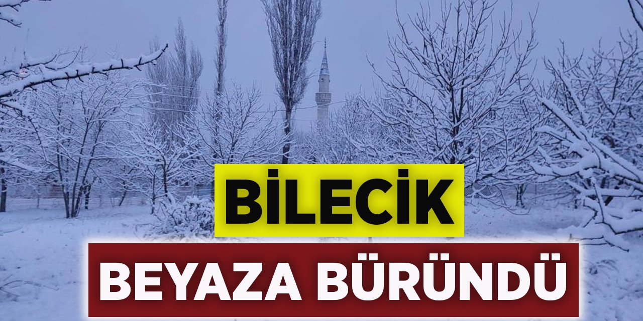 Bilecik beyaza büründü