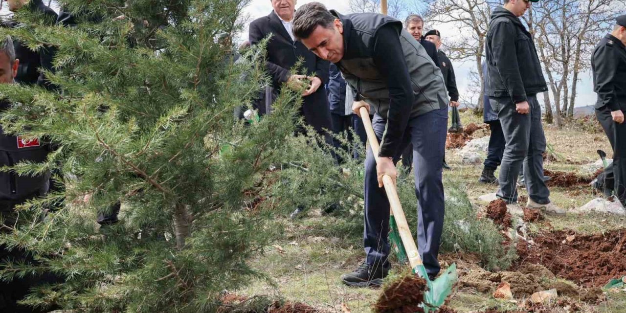 Doğanın Akciğeri Olan Ağaç Fidanları Toprakla Buluştu