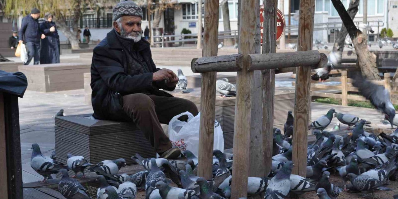 Sokaktaki Kuşları Yıllardır Büyük Bir Özenle Besliyor