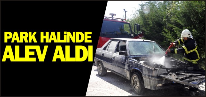 PARK HALİNDE ALEV ALDI