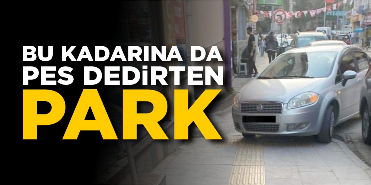 Bu kadarına da pes dedirten park!