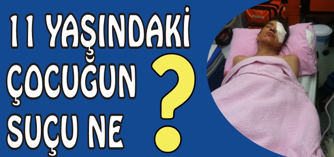 11 YAŞINDAKİ ÇOCUĞUN SUÇU NE?