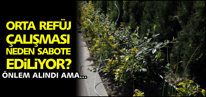 ORTA REFÜJ NEDEN SABOTE EDİLİYOR?