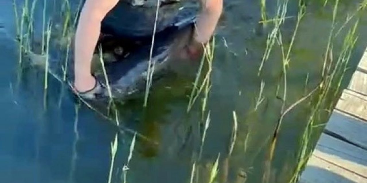 Sapanca Gölü'nde 24 Kiloluk Balık Yakalandı