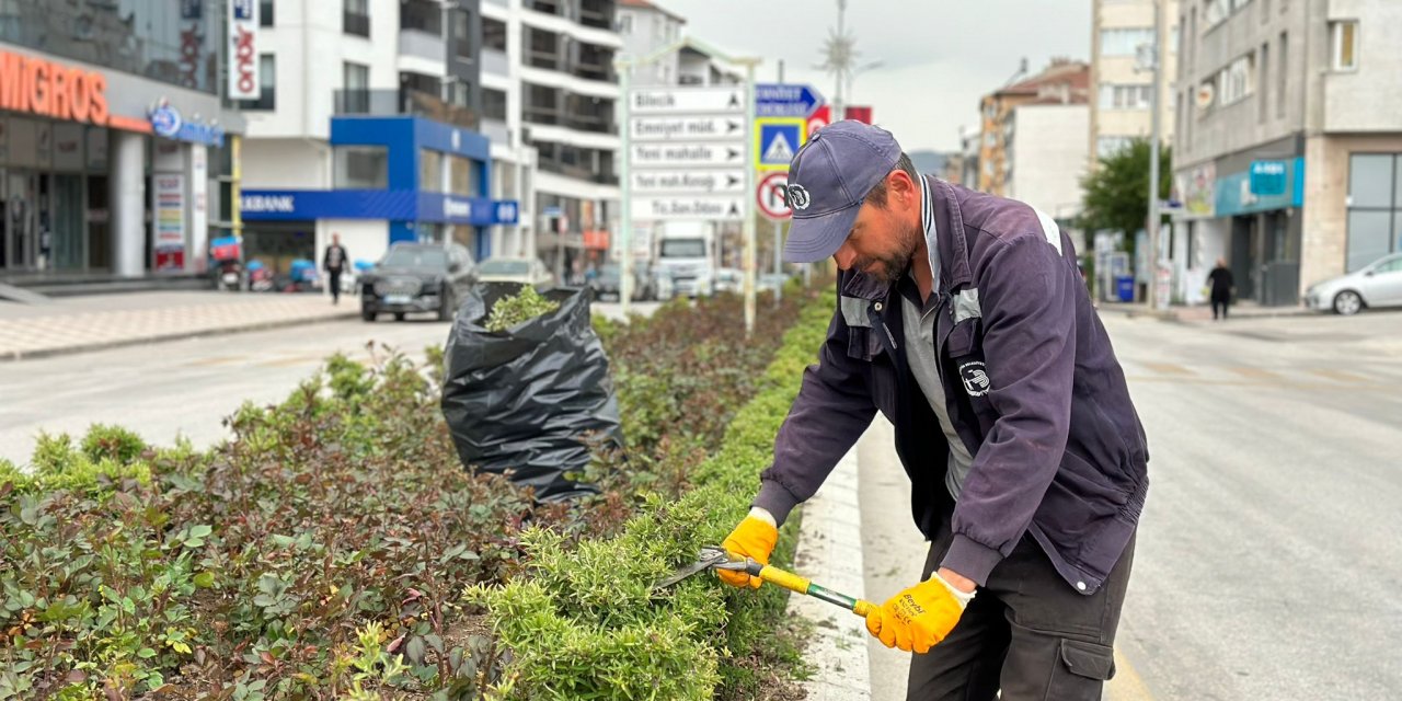 Bozüyük'te Çevre Düzenleme Çalışmaları Devam Ediyor