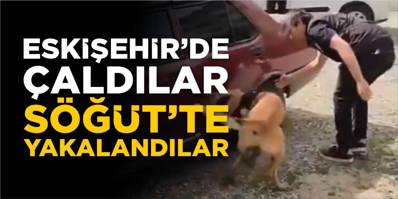 Eskişehir’de çaldılar, Söğüt’te yakalandılar!