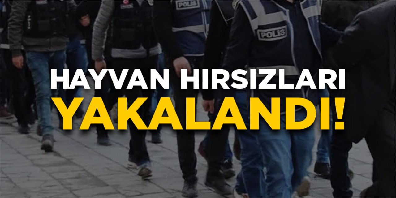 Hayvan hırsızları yakalandı!