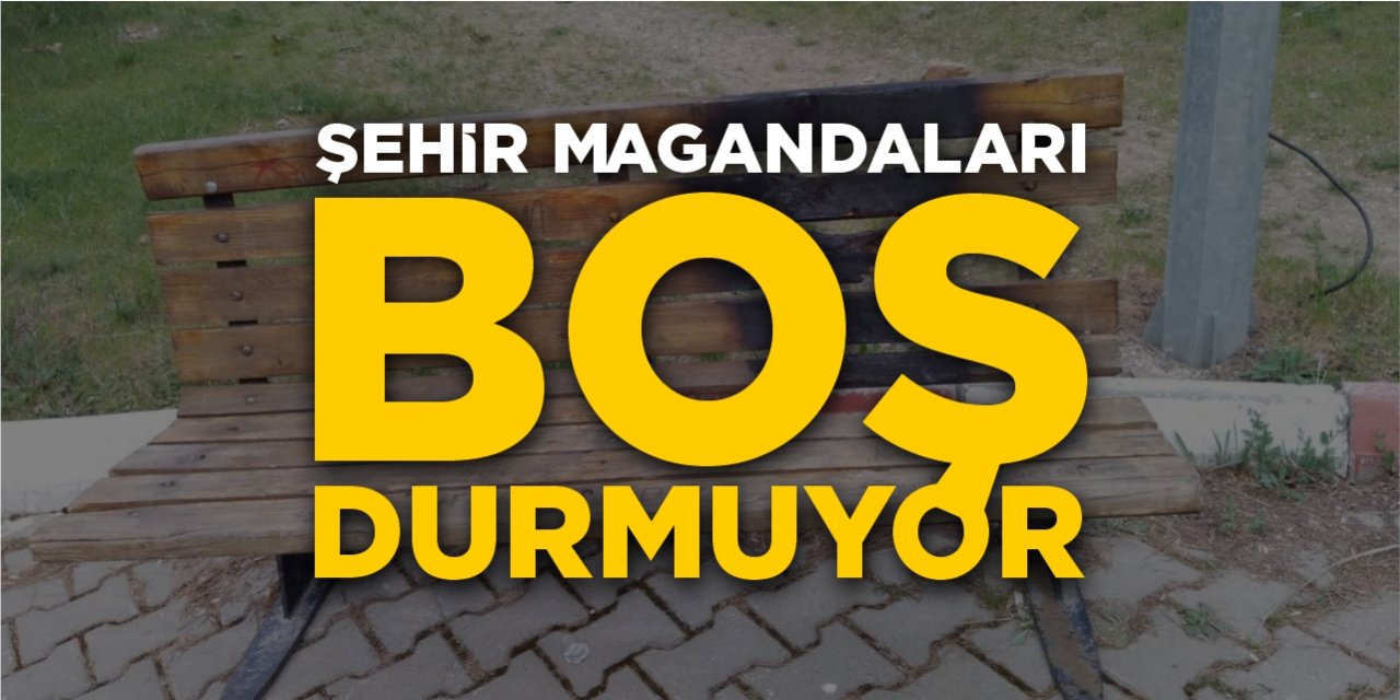 Şehir magandaları boş durmuyor!