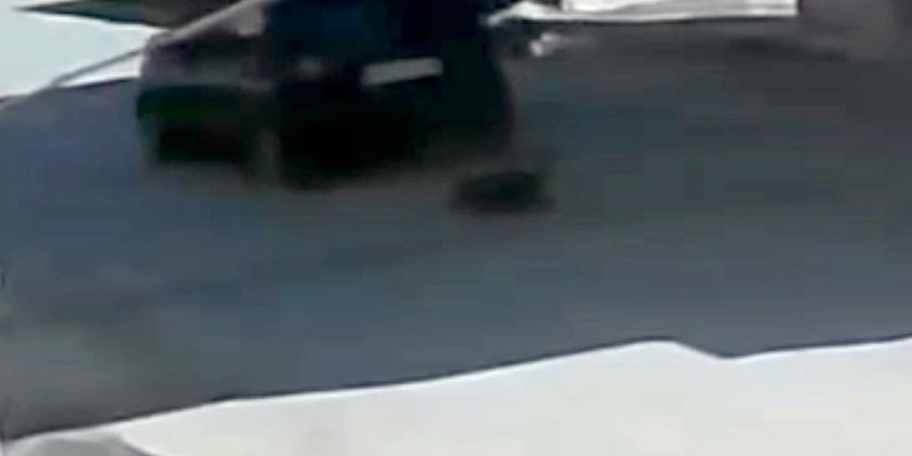 Köpeğin Üzerinden Otomobille Geçti