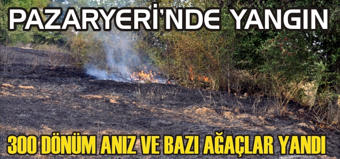 PAZARYERİ’NDE ORMAN YANGINI