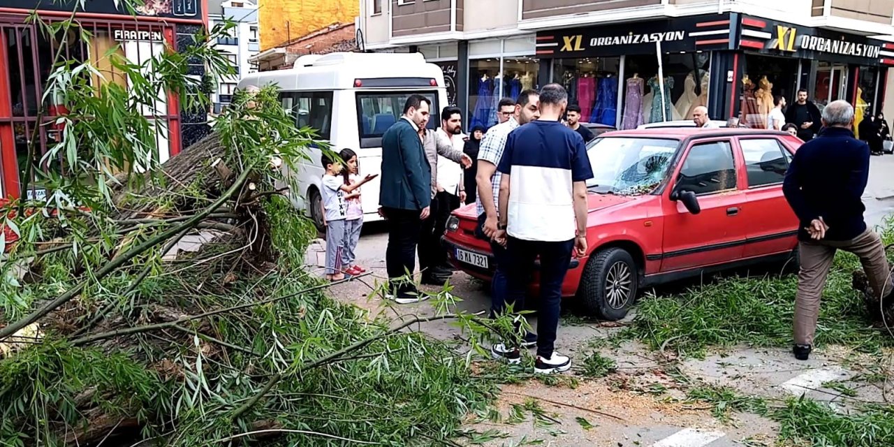 Seyir Halindeki Otomobilin Üzerine Ağaç Devrildi