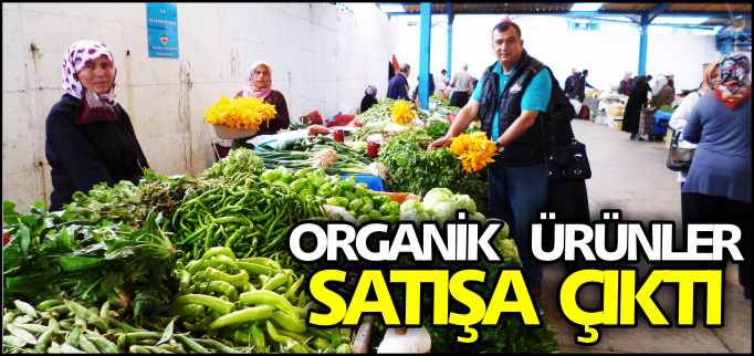 ORGANİK ÜRÜNLER SATIŞA ÇIKTI