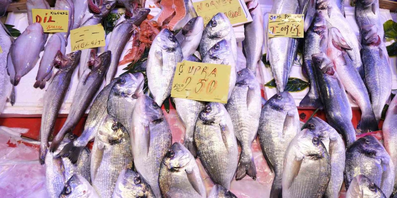 Taze Balıklar Geliyor, Ancak Fiyatlar Yükseldi