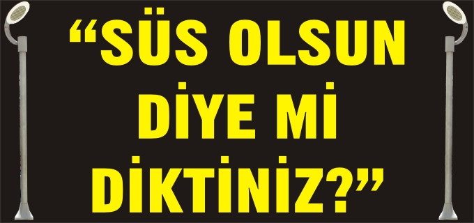 SÜS OLSUN DİYE Mİ DİKTİNİZ?