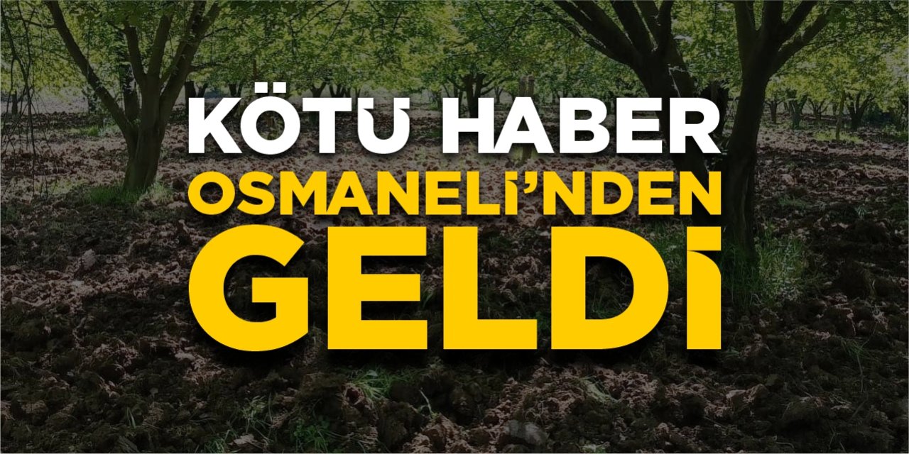 Kötü haber Osmaneli’nden geldi!