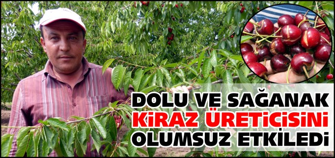 DOLU VE SAĞANAK KİRAZ ÜRETİCİSİNİ OLUMSUZ ETKİLEDİ