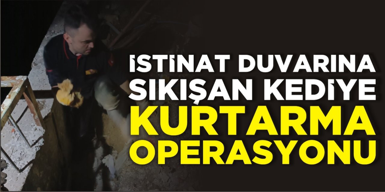 İstinat Duvarına Sıkışan Kediye Kurtarma Operasyonu