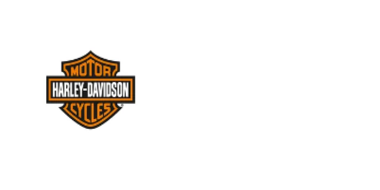 Harley Davidson Çizmeleri