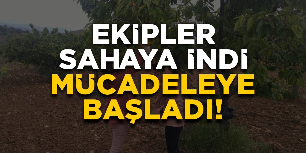 Ekipler sahaya indi, mücadele başladı