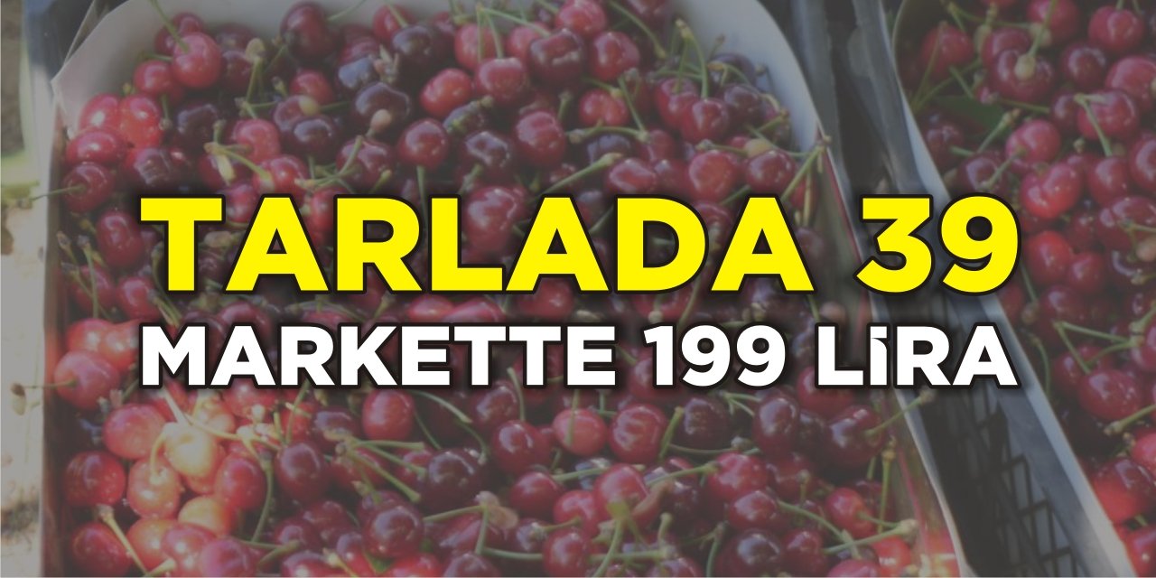 Tarlada 39, markette 199 lira