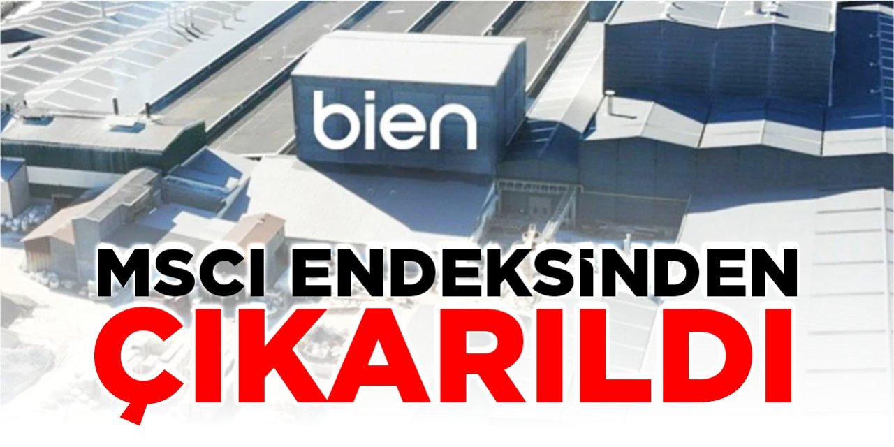 Bien, MSCI endeksinden çıkarıldı