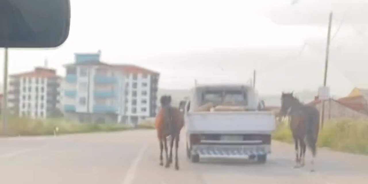 Atları Aracın Arkasına Bağlayıp Koşturdu!
