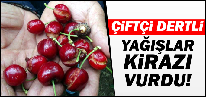 YAĞIŞLAR KİRAZI VURDU