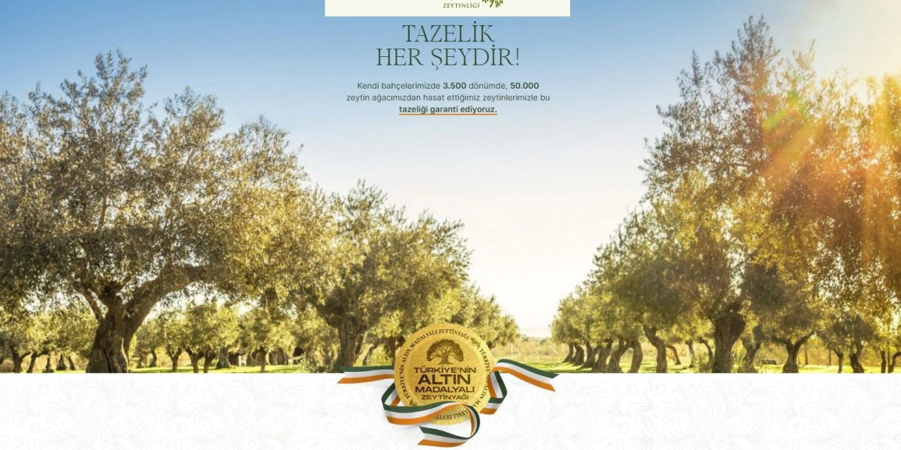 Kara Zeytin ve Siyah Zeytin: Farklar ve Özellikler