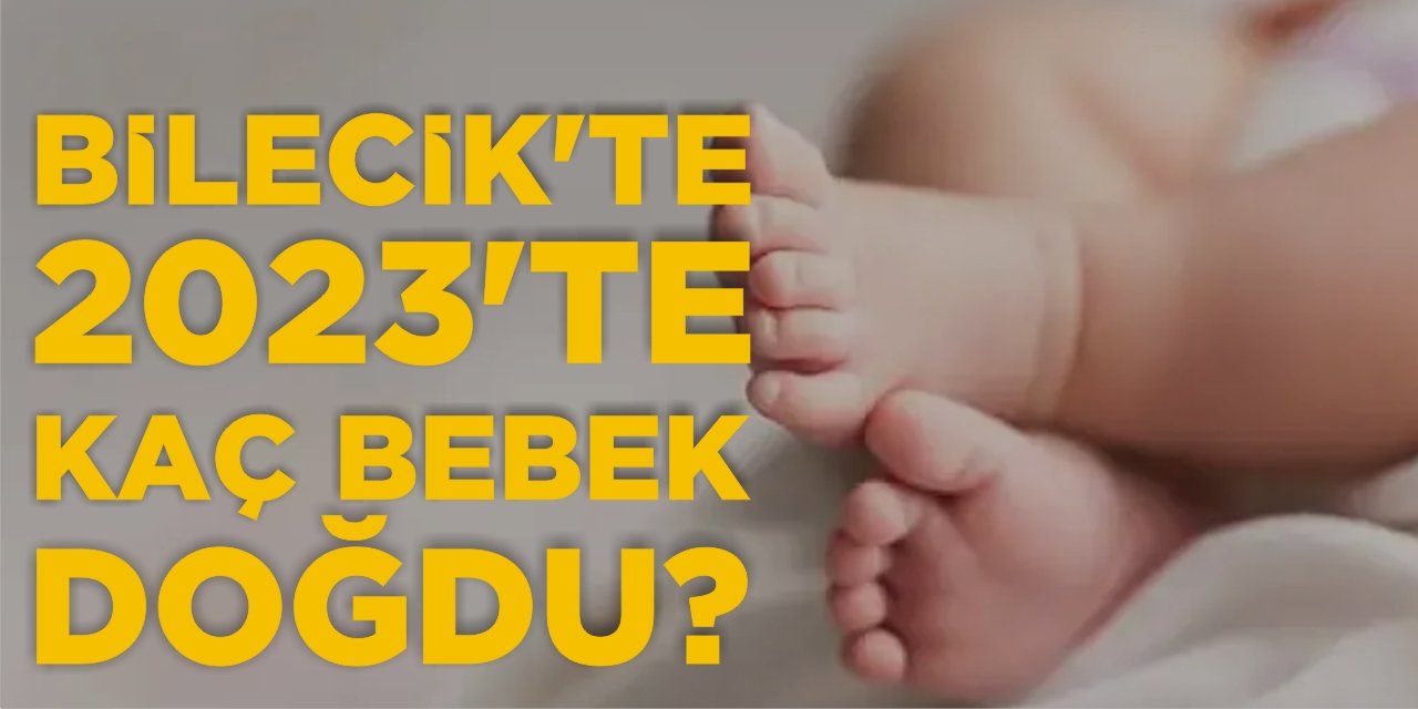 Bilecik’te 2023’te kaç bebek doğdu?