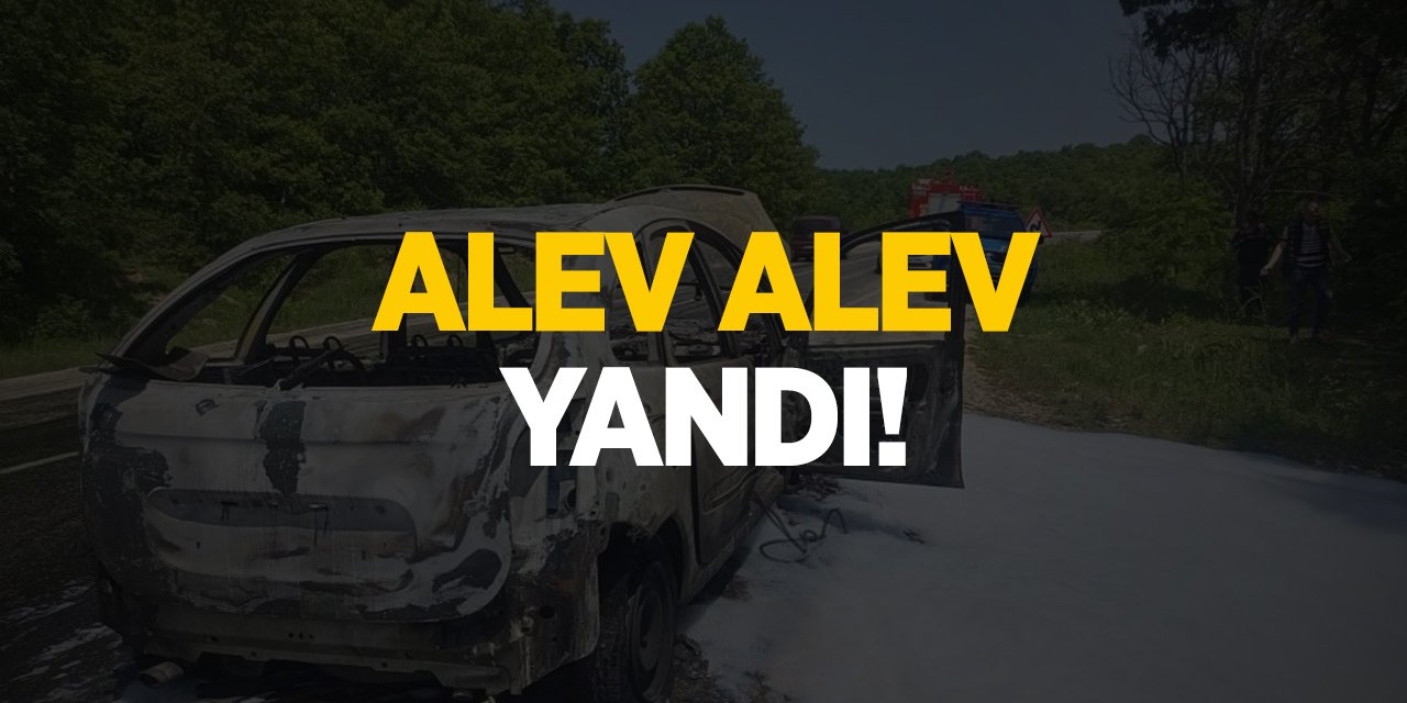 Alev Alev Yandı!