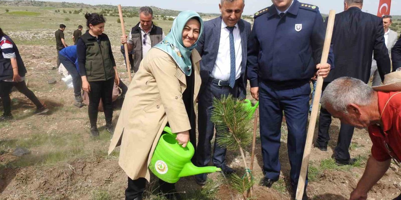 Aile Haftasında Aile Ormanı Tesis Edildi