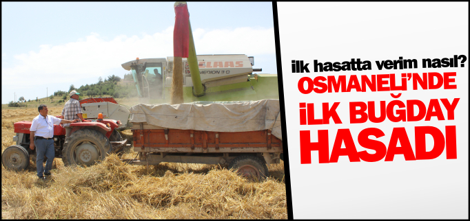 OSMANELİ’NDE İLK BUĞDAY HASADI