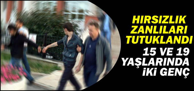 HIRSIZLIK ZANLILARI TUTUKLANDI