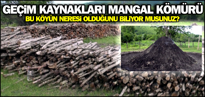BU KÖYÜN GEÇİM KAYNAĞI MANGAL KÖMÜRÜ