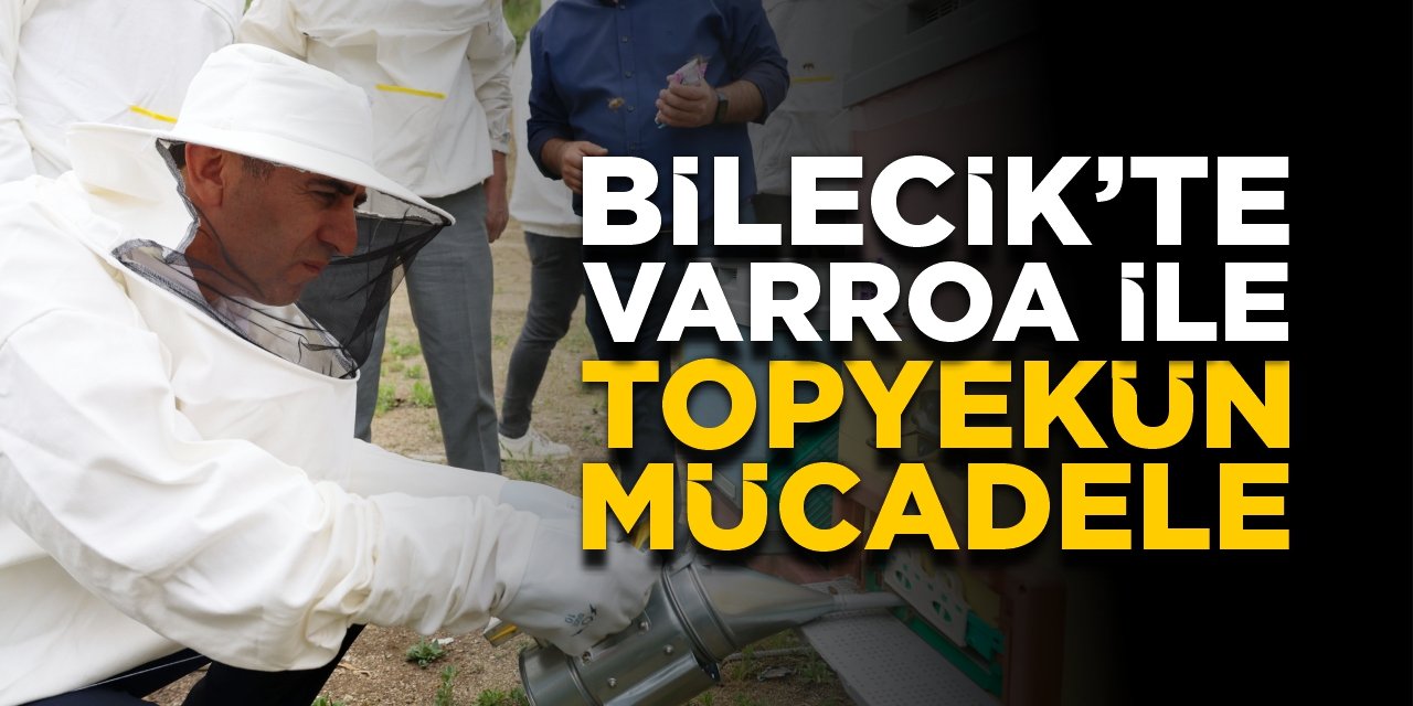 Bilecik’te varroa ile topyekün mücadele