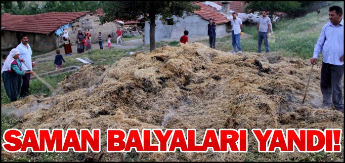 SAMAN BALYALARI YANDI!