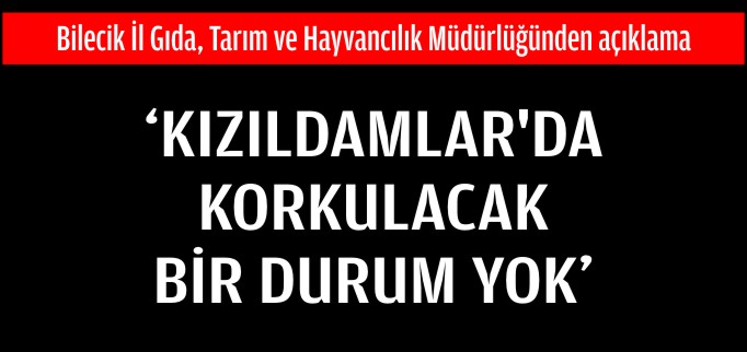 ’KIZILDAMLAR’DA KORKULACAK BİR DURUM YOK’