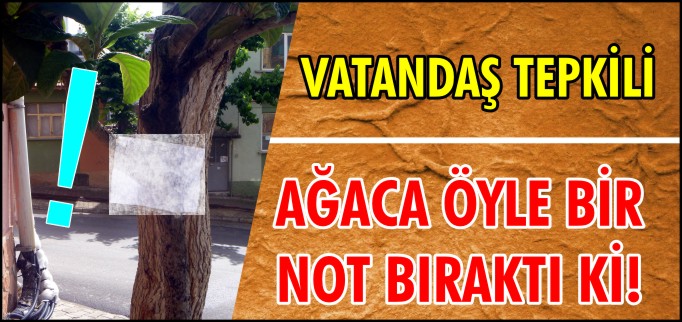 AĞACA ÖYLE BİR NOT BIRAKTI Kİ!