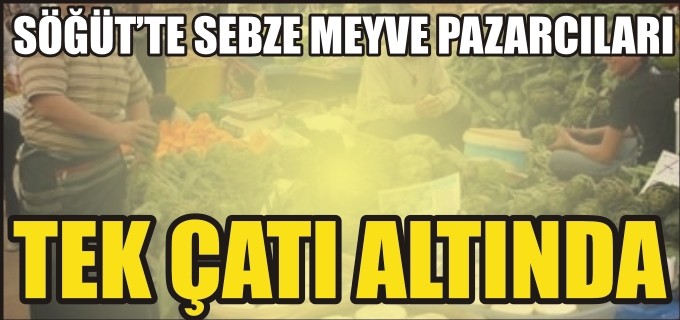 SÖĞÜT SEBZE MEYVE PAZARCILARI TEK ÇATI ALTINDA