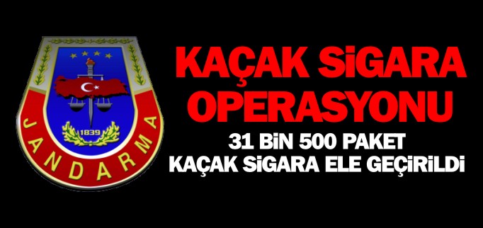 31 BİN 500 PAKET KAÇAK SİGARA ELE GEÇİRİLDİ