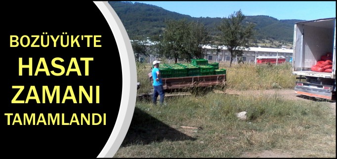 BOZÜYÜK’TE BEZELYE HASADI TAMAMLANDI